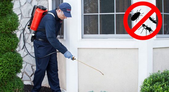 Doğanyurt Tahtakurusu İlaçlama böcek ilaçlama ve haşere kontrolü — ilaclama-tr.com